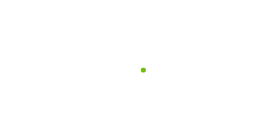 ZLAQA AI